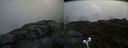 ./images/calvert/buxton2/20190623/buxton220190623_104952M.jpg