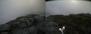 ./images/calvert/buxton2/20190623/buxton220190623_111452M.jpg