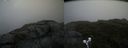 ./images/calvert/buxton2/20190623/buxton220190623_115953M.jpg