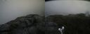 ./images/calvert/buxton2/20190623/buxton220190623_132952M.jpg