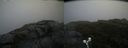 ./images/calvert/buxton2/20190623/buxton220190623_173952M.jpg