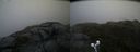./images/calvert/buxton2/20190623/buxton220190623_200452M.jpg