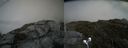 ./images/calvert/buxton2/20190627/buxton220190627_143952M.jpg