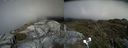 ./images/calvert/buxton2/20190627/buxton220190627_152952M.jpg