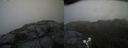 ./images/calvert/buxton2/20190627/buxton220190627_173452M.jpg