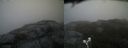 ./images/calvert/buxton2/20190627/buxton220190627_185452M.jpg