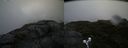 ./images/calvert/buxton2/20190628/buxton220190628_092452M.jpg