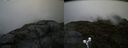 ./images/calvert/buxton2/20190628/buxton220190628_092952M.jpg