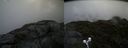 ./images/calvert/buxton2/20190628/buxton220190628_095952M.jpg