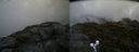 ./images/calvert/buxton2/20190628/buxton220190628_100452M.jpg