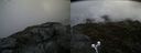 ./images/calvert/buxton2/20190628/buxton220190628_100952M.jpg