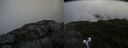 ./images/calvert/buxton2/20190628/buxton220190628_101952M.jpg