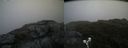 ./images/calvert/buxton2/20190628/buxton220190628_104452M.jpg