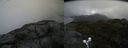./images/calvert/buxton2/20190628/buxton220190628_113452M.jpg