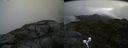 ./images/calvert/buxton2/20190628/buxton220190628_113952M.jpg