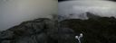 ./images/calvert/buxton2/20190628/buxton220190628_114452M.jpg