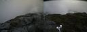 ./images/calvert/buxton2/20190628/buxton220190628_115452M.jpg