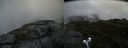 ./images/calvert/buxton2/20190628/buxton220190628_120452M.jpg