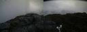 ./images/calvert/buxton2/20190628/buxton220190628_121952M.jpg