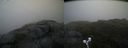 ./images/calvert/buxton2/20190628/buxton220190628_143452M.jpg