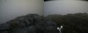 ./images/calvert/buxton2/20190628/buxton220190628_154952M.jpg