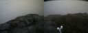 ./images/calvert/buxton2/20190628/buxton220190628_155952M.jpg