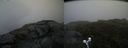 ./images/calvert/buxton2/20190628/buxton220190628_160452M.jpg