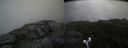 ./images/calvert/buxton2/20190628/buxton220190628_161452M.jpg