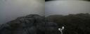 ./images/calvert/buxton2/20190628/buxton220190628_165452M.jpg