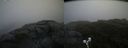 ./images/calvert/buxton2/20190628/buxton220190628_170952M.jpg