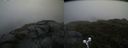 ./images/calvert/buxton2/20190628/buxton220190628_172952M.jpg