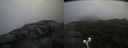 ./images/calvert/buxton2/20190628/buxton220190628_174452M.jpg