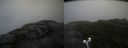 ./images/calvert/buxton2/20190628/buxton220190628_180452M.jpg