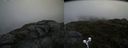 ./images/calvert/buxton2/20190628/buxton220190628_181452M.jpg