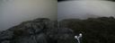 ./images/calvert/buxton2/20190628/buxton220190628_195452M.jpg