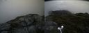 ./images/calvert/buxton2/20190628/buxton220190628_195952M.jpg