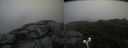 ./images/calvert/buxton2/20190629/buxton220190629_082952M.jpg