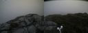 ./images/calvert/buxton2/20190629/buxton220190629_083452M.jpg
