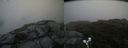 ./images/calvert/buxton2/20190629/buxton220190629_083952M.jpg