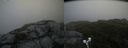 ./images/calvert/buxton2/20190629/buxton220190629_084452M.jpg