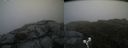 ./images/calvert/buxton2/20190629/buxton220190629_085952M.jpg