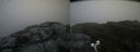 ./images/calvert/buxton2/20190629/buxton220190629_101952M.jpg