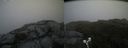 ./images/calvert/buxton2/20190629/buxton220190629_104952M.jpg