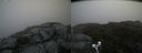 ./images/calvert/buxton2/20190629/buxton220190629_113452M.jpg