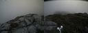 ./images/calvert/buxton2/20190629/buxton220190629_115952M.jpg