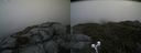 ./images/calvert/buxton2/20190629/buxton220190629_120452M.jpg