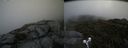 ./images/calvert/buxton2/20190629/buxton220190629_120952M.jpg