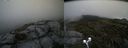 ./images/calvert/buxton2/20190629/buxton220190629_133952M.jpg