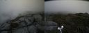 ./images/calvert/buxton2/20190629/buxton220190629_134452M.jpg