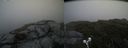 ./images/calvert/buxton2/20190629/buxton220190629_135952M.jpg